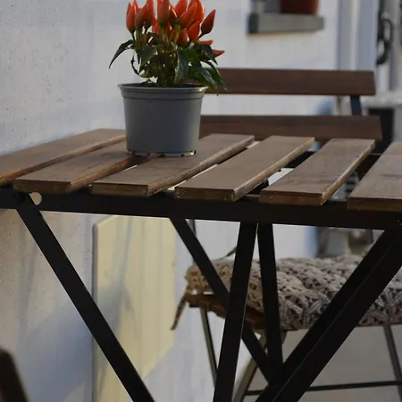 Splendor Solis 公寓 里奥拉萨尔多