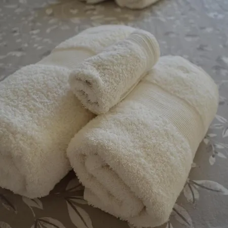 Splendor Solis 里奥拉萨尔多